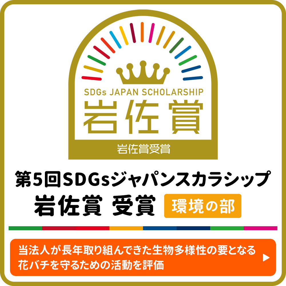 第5回SDGsジャパンスカラシップ岩佐賞(環境の部)を受賞